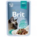 Влажный корм Brit Premium Cat, для кошек, филе говядины в соусе, 85 г