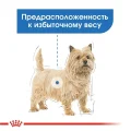 Влажный корм Royal Canin Light Weight Care для собак склонных к ожирению, паштет, 85 г