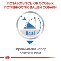 Влажный корм Royal Canin Light Weight Care для собак склонных к ожирению, паштет, 85 г
