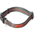 Ошейник DEXAS Off Leash для собак, нейлон, большой, 2.5 см/45.7-66 см, серый-оранжевый