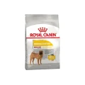 Сухой корм Royal Canin Medium Dermacomfort для собак средних пород с чувствительной кожей, 3 кг