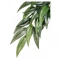 Декорация для террариума Hagen Exo Terra Rucus L