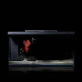 Аквариум Petkit Smart Fish Tank with The Stone Park, 10 л