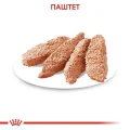 Влажный корм Royal Canin Dermacomfort для собак с чувствительной кожей, паштет, 85 г
