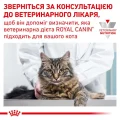 Сухой корм Royal Canin Satiety Weight Management для кошек с лишним весом, 400 г