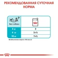 Влажный корм Royal Canin Urinary Care для собак с чувствительной мочевыделительной системой, паштет, 85 г