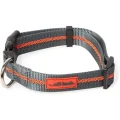 Ошейник DEXAS Off Leash для собак, нейлон, средний, 2.5 см/35.5-50.8 см, серый-оранжевый
