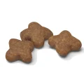 Сухой корм Royal Canin Mini Adult 8+ для собак мелких пород старше 8 лет, 4 кг