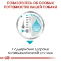 Влажный корм Royal Canin Urinary Care для собак с чувствительной мочевыделительной системой, паштет, 85 г