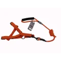 Комплект шлея с поводком AnimAll для животных, S, 0.8×120 см/37-46 см, оранжевый
