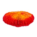 Искусственный коралл Blue Treasure HZY 247, 10×3×10 см