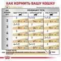 Влажный корм Royal Canin Urinary S/O при мочекаменной болезни у кошек, кусочки в соусе, 85 г