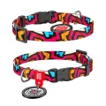 Ошейник WAUDOG Nylon с QR паспортом, рисунок "Граффити" ширина 10 мм, длина 20-30 см