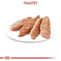 Влажный корм Royal Canin Relax Care с успокаивающим действием для собак, паштет, 85 г