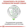 Влажный корм Royal Canin Digestive Care при чувствительном пищеварении у собак, паштет, 85 г