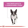 Влажный корм Royal Canin Relax Care с успокаивающим действием для собак, паштет, 85 г
