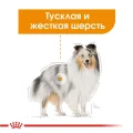 Влажный корм Royal Canin Coat Care для собак с тусклой и сухой шерстью, паштет, 85 г
