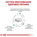 Сухой корм Royal Canin Skin Support при дерматозах и выпадении шерсти у собак, 2 кг
