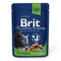 Влажный корм Brit Premium Cat pouch, для стерилизованных кошек, с курицей, 100 г