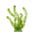 Декорация Hagen Hornwort, растение пластиковое, 20 см