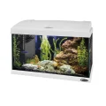 Аквариум стекляный Ferplast Capri 50 LED White с LED-освещением, белый, 40 л