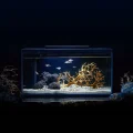 Аквариум Petkit Smart Fish Tank with The Stone Park, 10 л