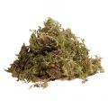 Живой мох Komodo Habitat Moss, 1,5 л