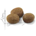 Сухой корм Royal Canin Regular Sterilised 7+ для стерилизованных кошек, 1.5 кг