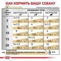 Влажный корм Royal Canin Urinary S/O Ageing 7+ при мочекаменной болезни у собак старше 7 лет, 85 г