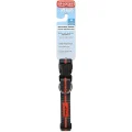Ошейник DEXAS Off Leash для собак, нейлон, средний, 2.5 см/35.5-50.8 см, серый-оранжевый