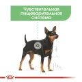 Влажный корм Royal Canin Digestive Care при чувствительном пищеварении у собак, паштет, 85 г