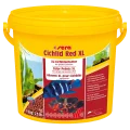 Sera Cichlid Red XL гранулы для больших плотоядных цихлид, 10000 мл