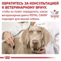 Сухой корм Royal Canin Satiety Small Dog для собак мелких пород склонных к избыточному весу, 1.5 кг