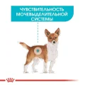 Влажный корм Royal Canin Urinary Care для собак с чувствительной мочевыделительной системой, паштет, 85 г