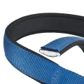Нейлоновый ошейник Ferplast Daytona C15/35 Blue для собак, синий, A: 27x35 см, B: 15 мм