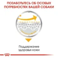 Влажный корм Royal Canin Dermacomfort для собак с чувствительной кожей, паштет, 85 г