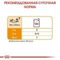 Влажный корм Royal Canin Coat Care для собак с тусклой и сухой шерстью, паштет, 85 г