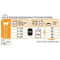 Влажный корм Royal Canin Intense Beauty для кошек с проблемной шерстью, кусочки в желе, 85 г