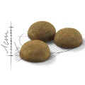 Сухой корм Royal Canin Indoor Long Hair для длинношерстных кошек постоянно живущих в помещении, 10 кг