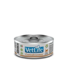 Влажный Farmina Vet Life Convalescence для кошек, для восстановления питания и выздоровления, 85 г