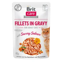 Влажный корм Brit Care Cat, для кошек, филе в соусе с лососем, 85 г