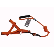 Комплект шлея с поводком AnimAll для животных, S, 0.8×120 см/37-46 см, оранжевый