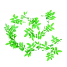 Растение для террариума Trixie - Ficus