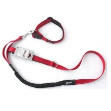 Комплект ошейник с поводком AnimAll для собак, S, 0.8×120 см/37-46 см, красный