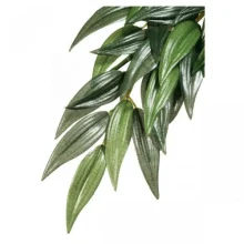 Декорация для террариума Hagen Exo Terra Rucus L