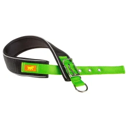 Нейлоновый ошейник Ferplast Daytona Comfort CF40/60 Green для собак, зеленый, A: 52x60 см, B: 40 мм