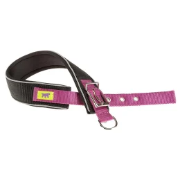 Нейлоновый ошейник Ferplast Daytona Comfort CF40/53 Purple для собак, фиолетовый, A: 45x53 см, B: 40 мм