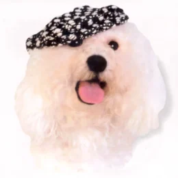 Кепка Doggyduds Chunky Boucle для собак, размер M, черная