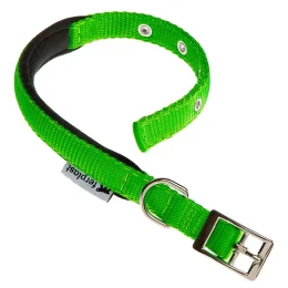 Нейлоновый ошейник Ferplast Daytona C25/45 Green для собак, зеленый, A: 37x45 см, B: 25 мм
