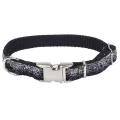 Нашийник Coastal Pet Attire Sparkles для собак, чорний, 1×30-46 см